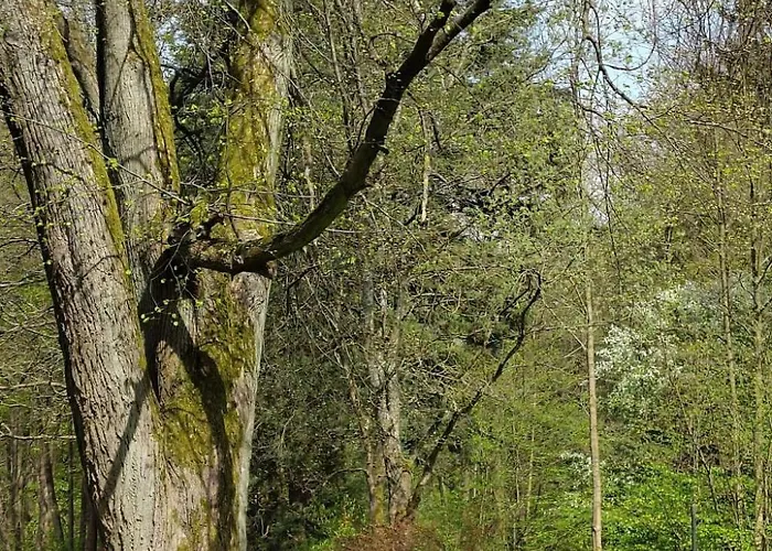 Findling By Interhome Daire