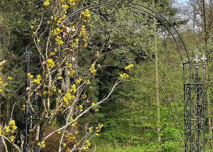 Daire By Interhome Tabarz